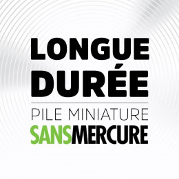 Pile Bouton, V, Energizer