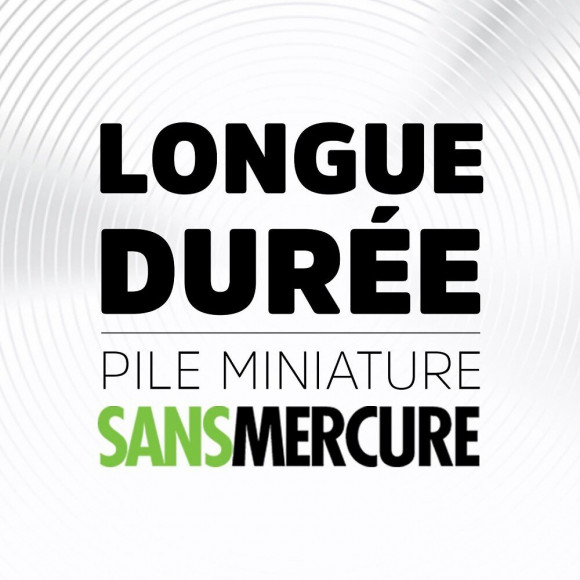 Pile Bouton, V, Energizer