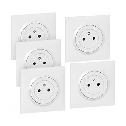 Lot De 5 Prises Avec Terre Complet Dooxie, Legrand, Blanc
