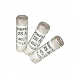Lot De 3 Fusibles Céramique 25 A, 10.3 X 31.5 Mm
