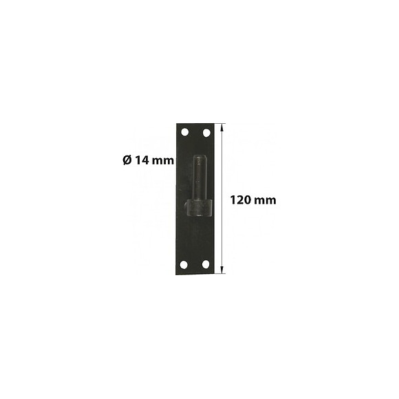 Gond Sur Platine Acier Prépeint, H.120x Diam.14 Mm
