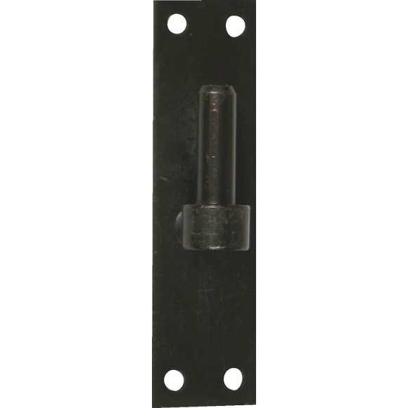 Gond Sur Platine Acier Prépeint, H.120x Diam.14 Mm