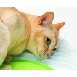 Station De Massage Pour Chat Catit Senses 2.0