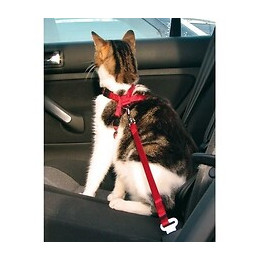 Trixie Harnais Pour Voiture Pour Chat