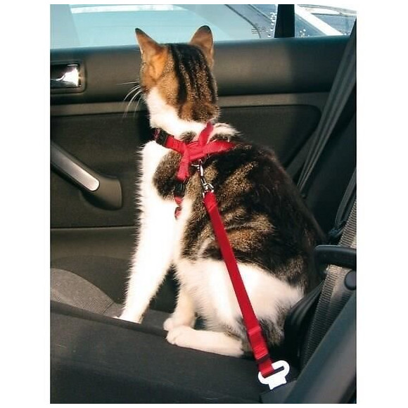 Trixie Harnais Pour Voiture Pour Chat