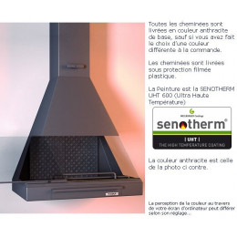 Cheminée Frontale Avec Porte + Base Et Foyer Fonte Ch88 - Anthracite