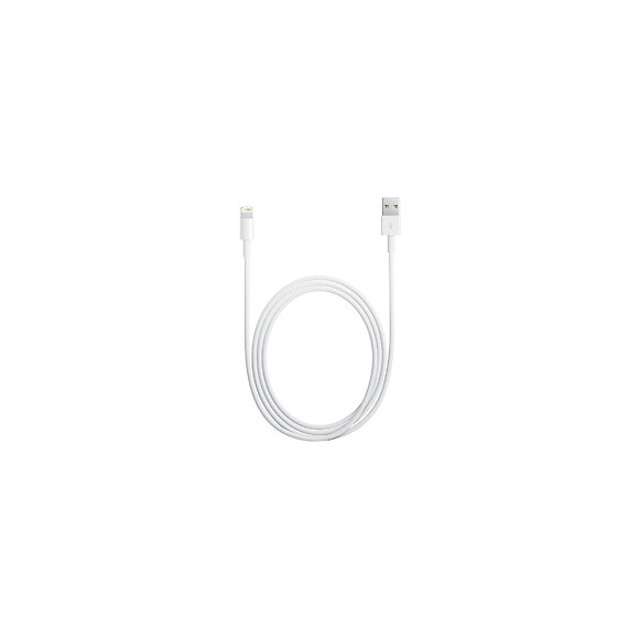 Accessoires Téléphone Portable Akashi Altcableip 5