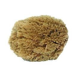 Eponge Végétale Naturelle 15 Cm
