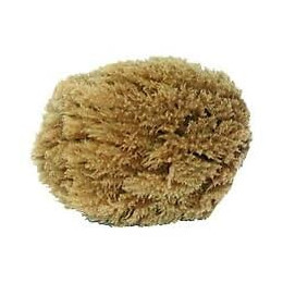 Eponge Végétale Naturelle 15 Cm
