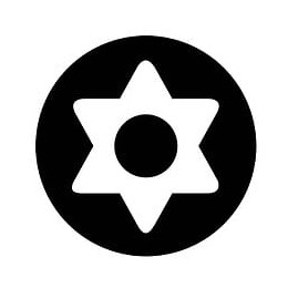 Clé Torx Tamper - Tt20